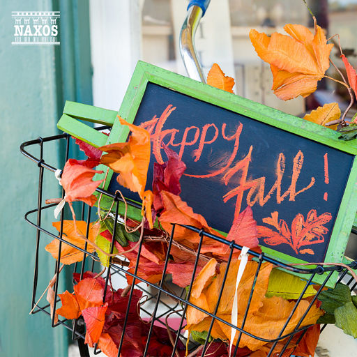 大鸡巴外国特级做爱视频免费观看
